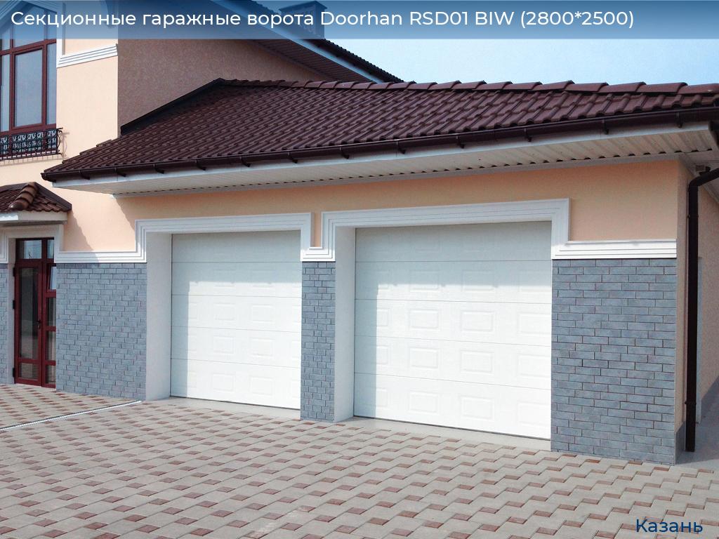Секционные гаражные ворота Doorhan RSD01 BIW (2800*2500), kazan.doorhan.ru