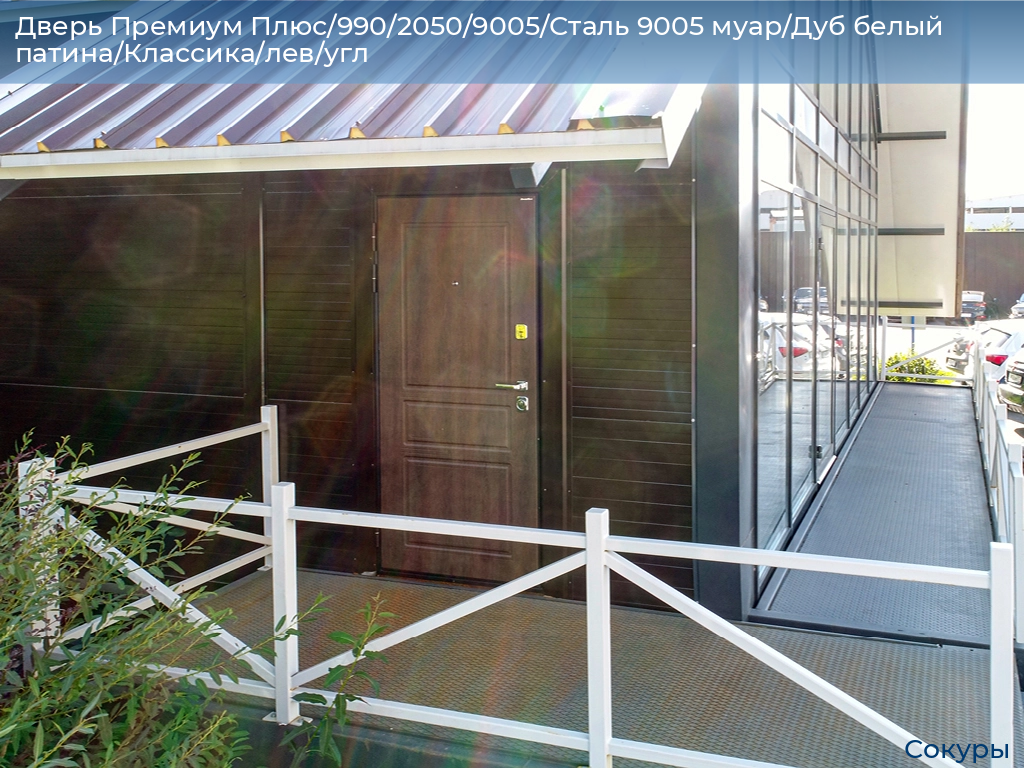 Дверь Премиум Плюс/990/2050/9005/Сталь 9005 муар/Дуб белый патина/Классика/лев/угл, sokury.doorhan.ru