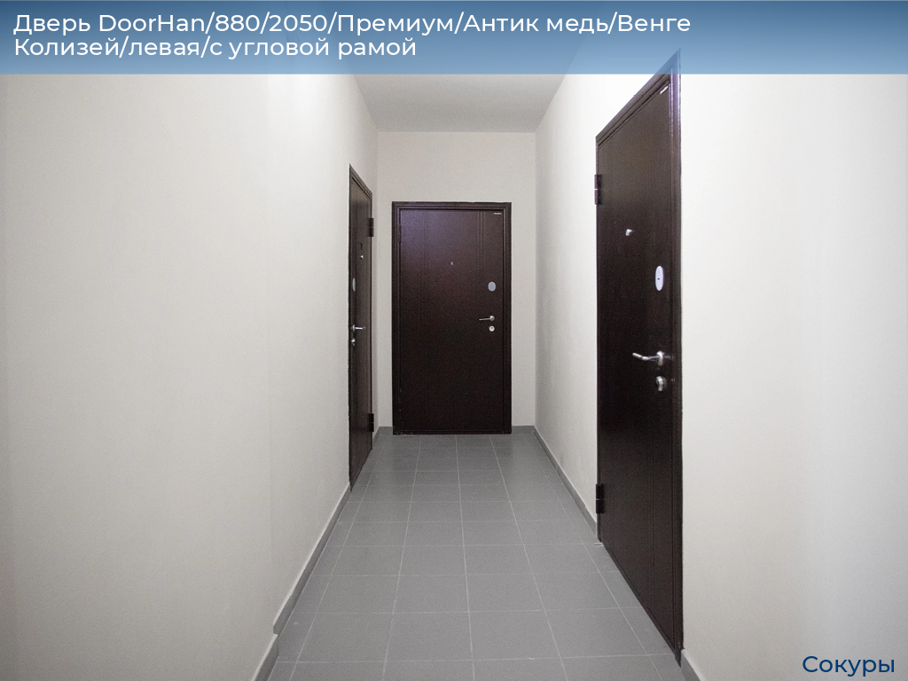 Дверь DoorHan/880/2050/Премиум/Антик медь/Венге Колизей/левая/с угловой рамой, sokury.doorhan.ru