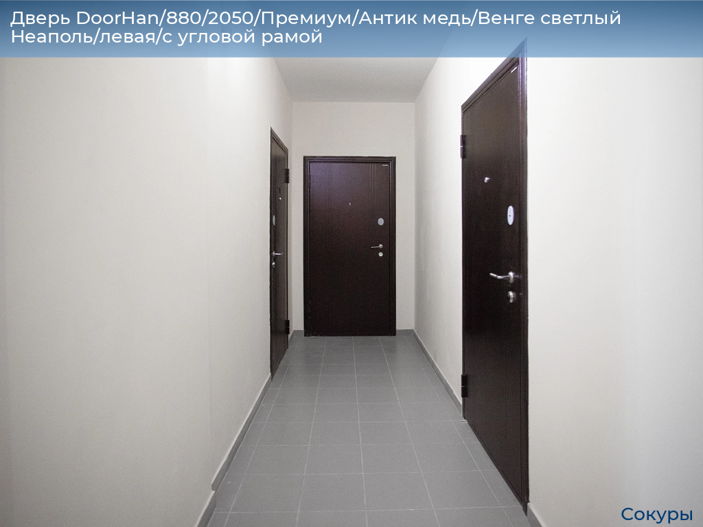 Дверь DoorHan/880/2050/Премиум/Антик медь/Венге светлый Неаполь/левая/с угловой рамой, sokury.doorhan.ru