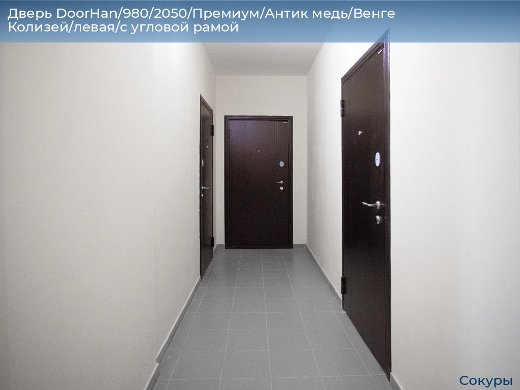 Дверь DoorHan/980/2050/Премиум/Антик медь/Венге Колизей/левая/с угловой рамой, sokury.doorhan.ru