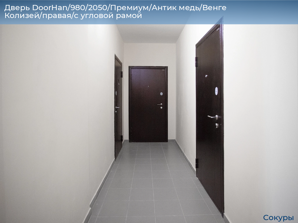 Дверь DoorHan/980/2050/Премиум/Антик медь/Венге Колизей/правая/с угловой рамой, sokury.doorhan.ru