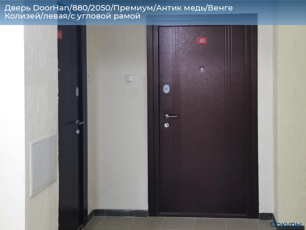 Дверь DoorHan/880/2050/Премиум/Антик медь/Венге Колизей/левая/с угловой рамой, sokury.doorhan.ru
