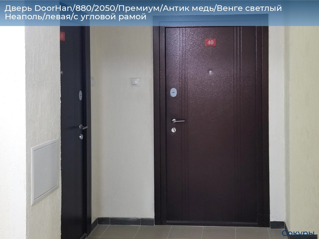Дверь DoorHan/880/2050/Премиум/Антик медь/Венге светлый Неаполь/левая/с угловой рамой, sokury.doorhan.ru