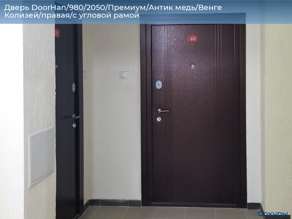 Дверь DoorHan/980/2050/Премиум/Антик медь/Венге Колизей/правая/с угловой рамой, sokury.doorhan.ru