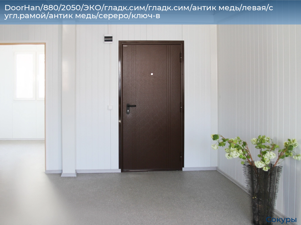 DoorHan/880/2050/ЭКО/гладк.сим/гладк.сим/антик медь/левая/с угл.рамой/антик медь/сереро/ключ-в, sokury.doorhan.ru